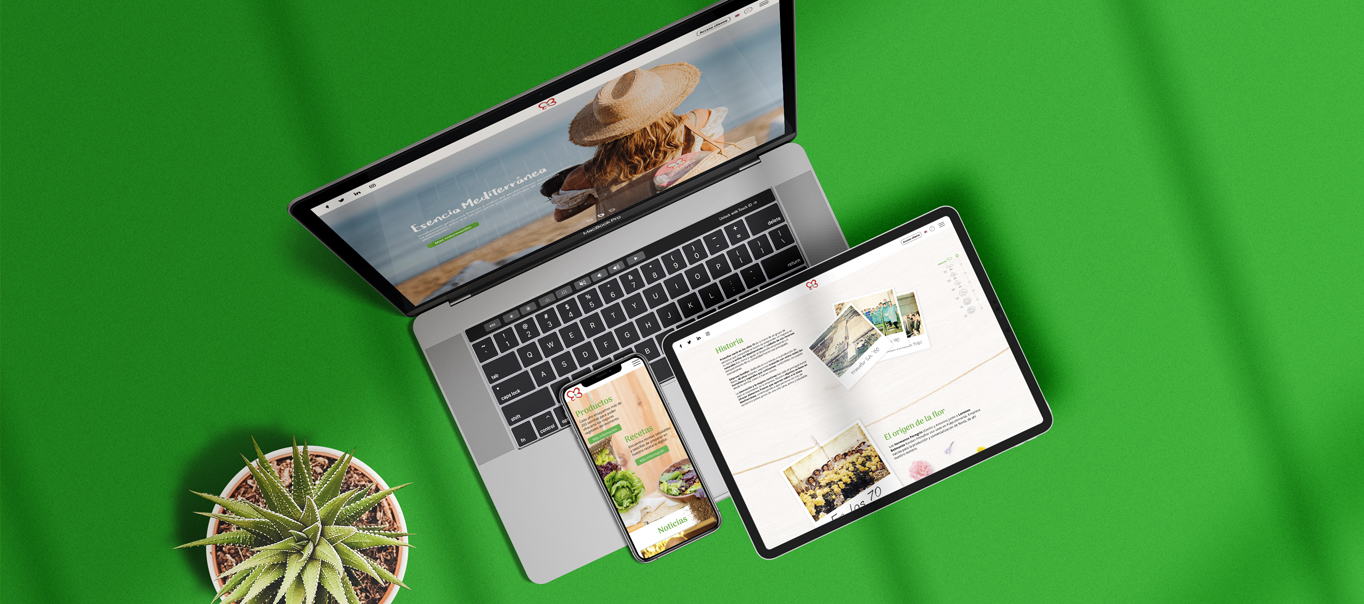 Restyling web Primaflor Imagen 1 